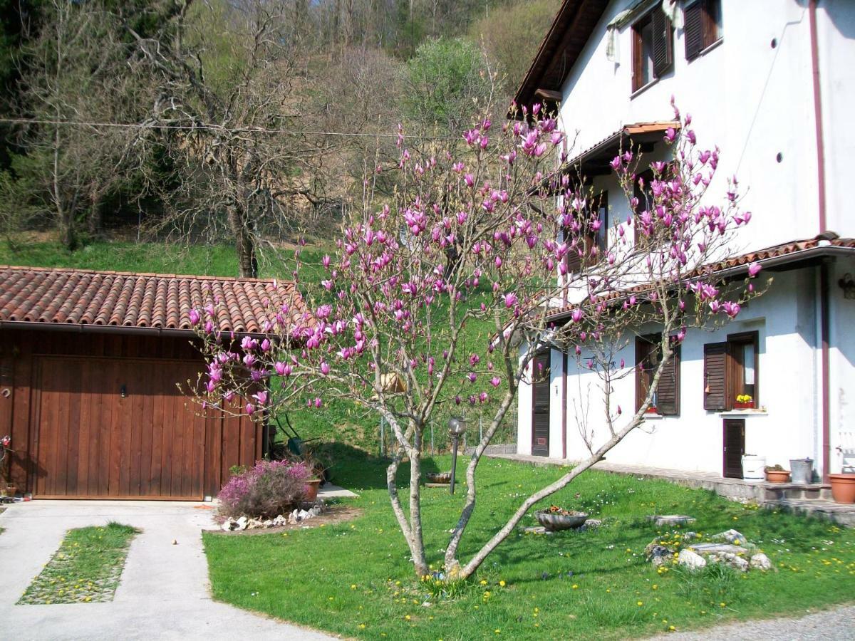 B&B In Fattoria Frisanco Exterior photo
