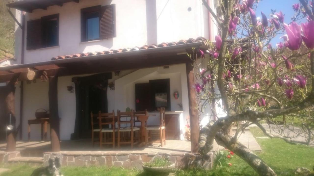 B&B In Fattoria Frisanco Exterior photo